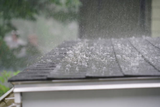 Best Roof Ventilation Installation  in Columbus Grove, OH