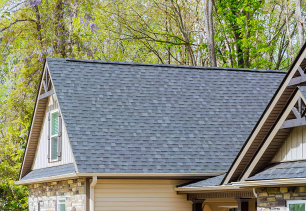 Best Roof Insulation Installation  in Columbus Grove, OH