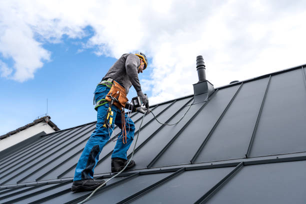 Best Metal Roofing Installation  in Columbus Grove, OH