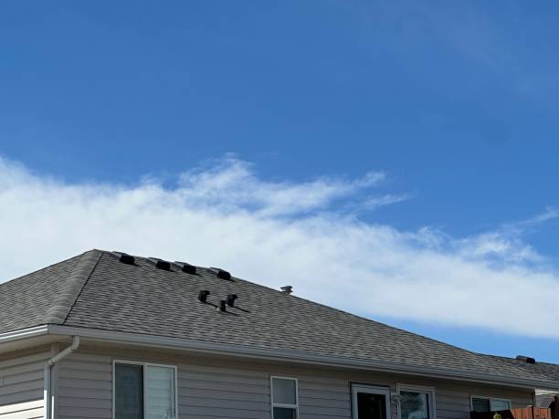 Best Steel Roofing  in Columbus Grove, OH